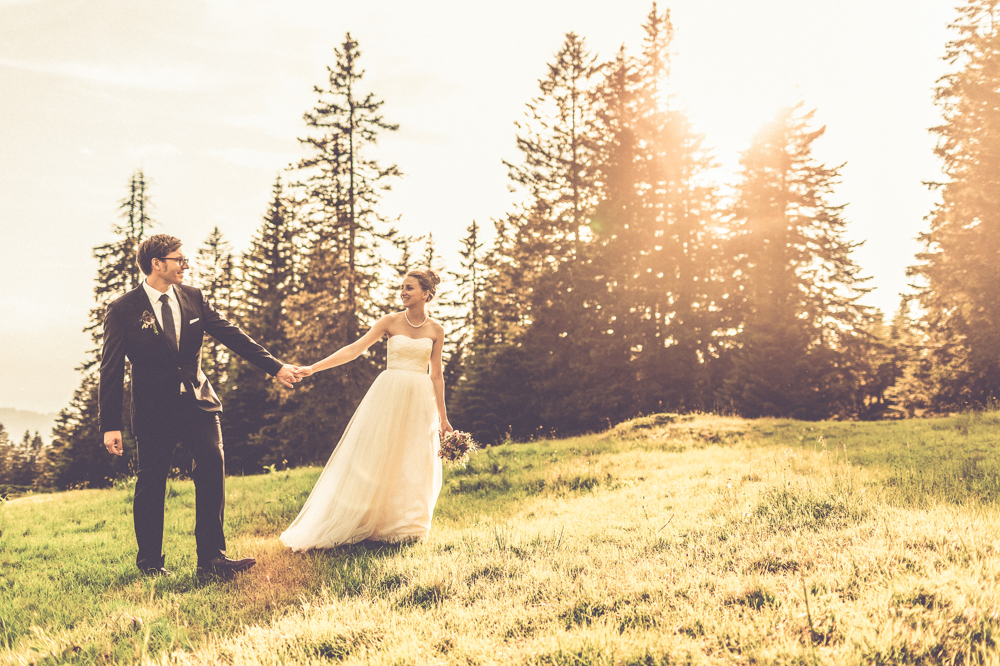 Export x3 066 JC 781 Beispiele Eva 2016